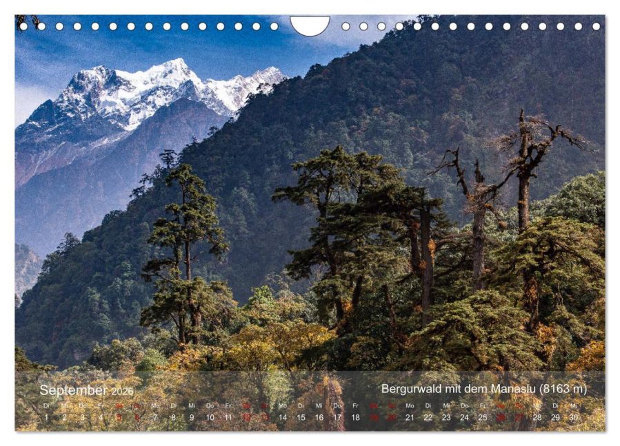 InsideView 14