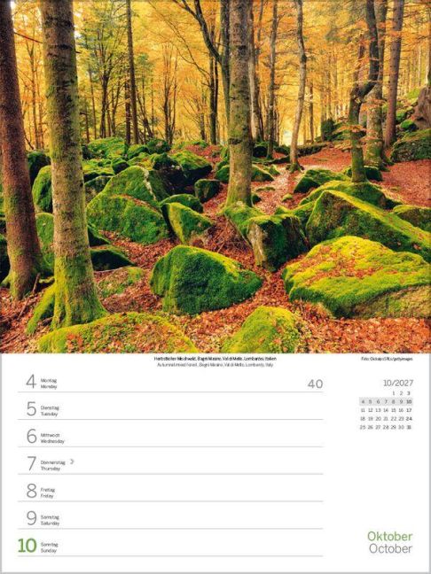 InsideView 11