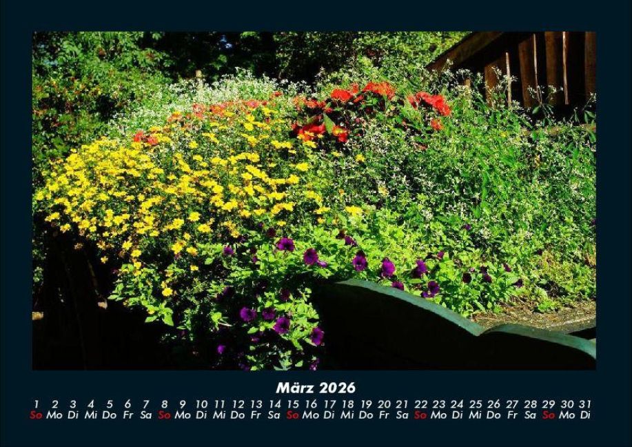 InsideView 7