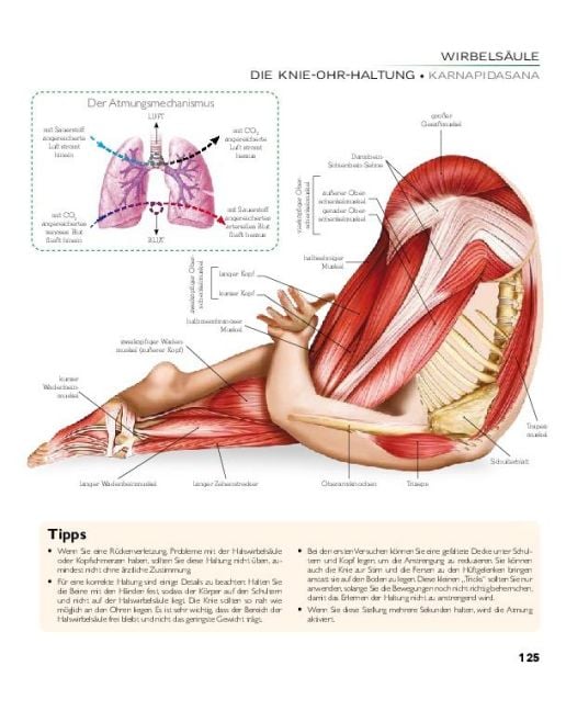 InsideView 12