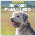 Soft-Coated Wheaten Terriers - Soft-Coated Wheaten Terrier 2025 - 16-Monatskalender - 