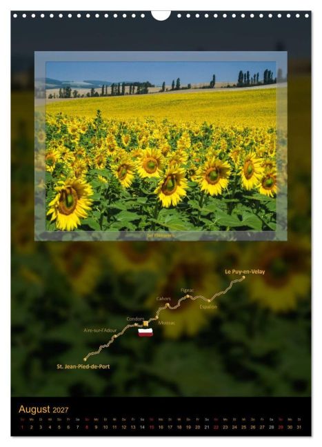 InsideView 13