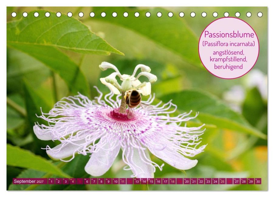 InsideView 14