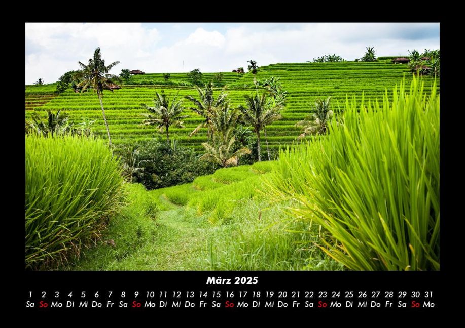 InsideView 7