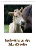 Nachwuchs bei den Islandpferden (Wandkalender 2025 DIN A2 hoch), CALVENDO Monatskalender - Angelika Beuck