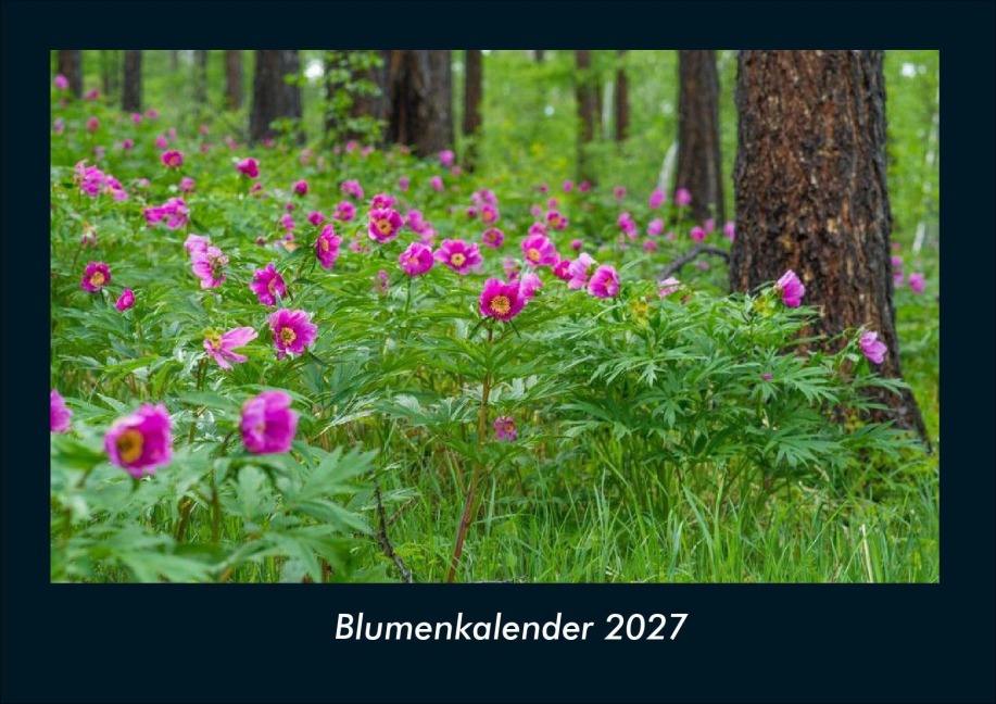 Blumenkalender 2027 Fotokalender DIN A4 - Tobias Schmitt, Kevin Heber