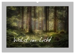 Wald im Licht (Wandkalender 2026 DIN A2 quer), CALVENDO Monatskalender - Simone Wunderlich