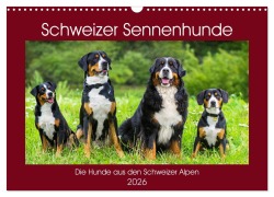 Schweizer Sennenhunde - die Hunde aus den Schweizer Alpen (Wandkalender 2026 DIN A3 quer), CALVENDO Monatskalender - Sigrid Starick