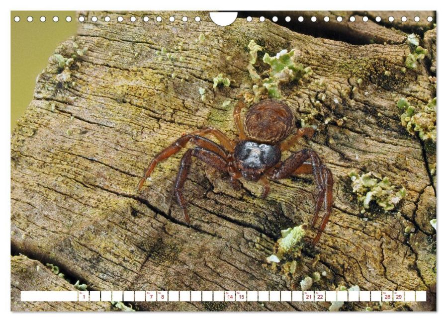 InsideView 8