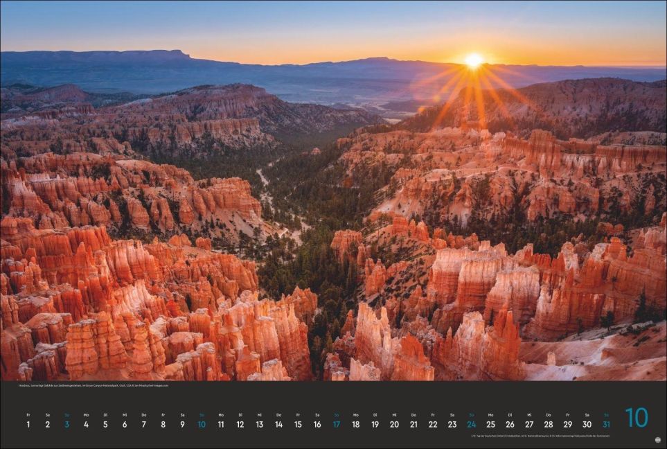 InsideView 10