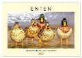 Enten. Beliebt, hübsch und imposant (Wandkalender 2025 DIN A2 quer), CALVENDO Monatskalender - Rose Hurley
