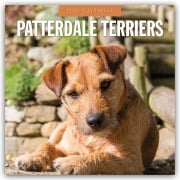 Patterdale Terriers - Patterdale Terrier - Schwarzer Terrier 2026 - 16-Monatskalender - Robin Red