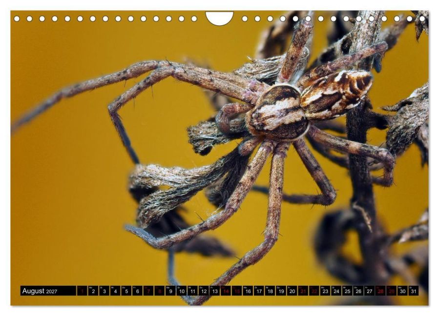 InsideView 13