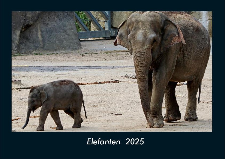 Elefanten 2025 Fotokalender DIN A4 - Tobias Becker