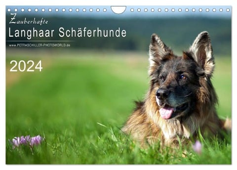 Zauberhafte Langhaar Schäferhunde (Wandkalender 2024 DIN A4 quer), CALVENDO Monatskalender - Petra Schiller