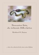 Bewusstes Sein, die richtende Stille Gottes - Reinhard H. Sajonz