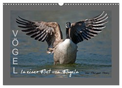 Cover-Bild zum Titel 'VÖGEL (Wandkalender 2026 DIN A3 quer), CALVENDO Monatskalender' von 'Philippe Henry'