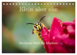 Cover-Bild zum Titel 'Klein aber oho. Die bunte Welt der Insekten (Tischkalender 2026 DIN A5 quer), CALVENDO Monatskalender' von ''