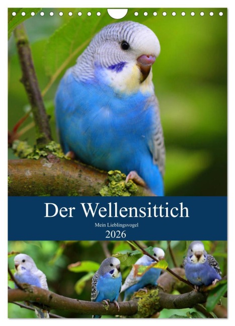 Der Wellensittich - Mein Lieblingsvogel (Wandkalender 2026 DIN A4 hoch), CALVENDO Monatskalender - Björn Bergmann