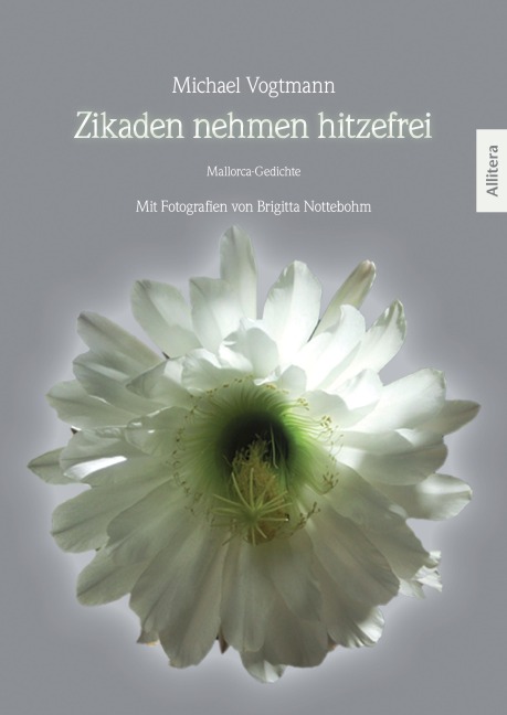 Zikaden nehmen hitzefrei - Michael Vogtmann