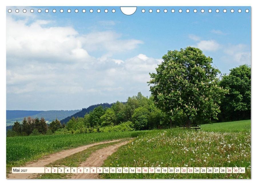 InsideView 10