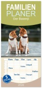 Cover-Bild zum Titel 'Familienplaner 2026 - Der Basenji mit 5 Spalten (Wandkalender, 21 x 45 cm) CALVENDO' von 'Angelika Joswig'