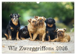 Cover-Bild zum Titel 'Wir Zwerggriffons 2026 (Wandkalender 2026 DIN A3 quer), CALVENDO Monatskalender' von 'Angelika Witt - Schomber'