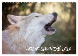 Wolfshunde 2026 (Wandkalender 2026 DIN A3 quer), CALVENDO Monatskalender - ARTness Photographie