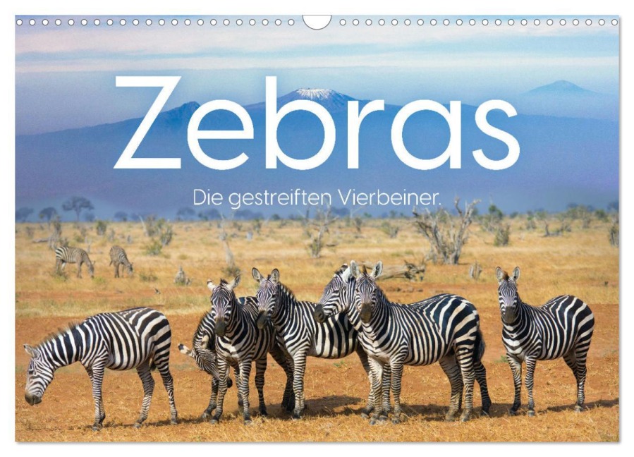 Zebras - Die gestreiften Vierbeiner. (Wandkalender 2026 DIN A3 quer), CALVENDO Monatskalender - M. Scott