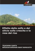 Cover-Bild zum Titel 'Effetto dello zolfo e del silicio sulla crescita e la resa del riso' von 'Tejaswini Ganta, Nagasaivardhan Naik Ramavath'