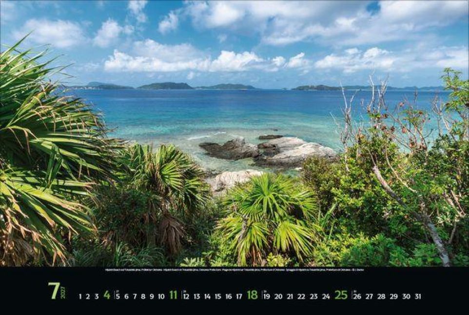 InsideView 7