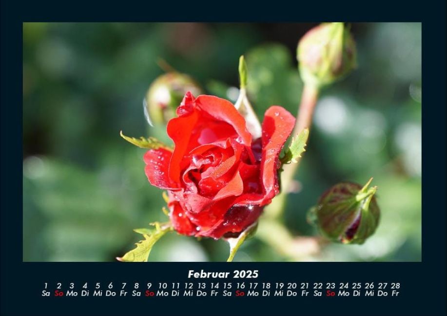 InsideView 6