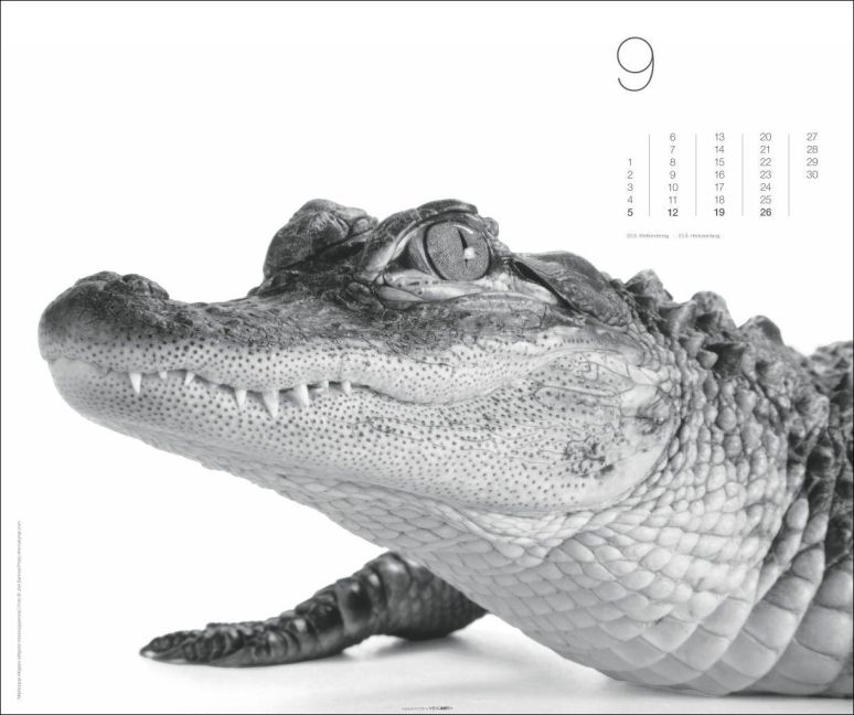 InsideView 9