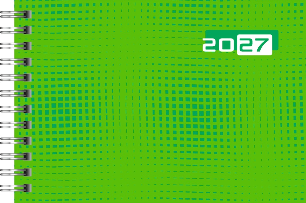 rido/idé 7017107017 Taschenkalender Mod. Septimus 2027 A6 quer, Papier, grün - 