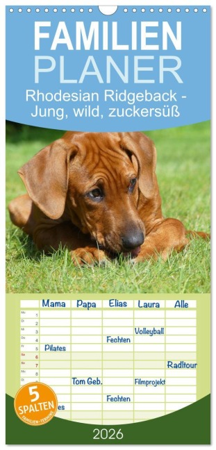 Familienplaner 2026 - Rhodesian Ridgeback - Jung, wild, zuckersüß mit 5 Spalten (Wandkalender, 21 x 45 cm) CALVENDO - Birgit Bodsch