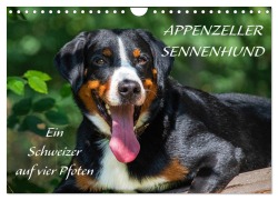 Cover-Bild zum Titel 'Appenzeller Sennenhund - Ein Schweizer auf 4 Pfoten (Wandkalender 2026 DIN A4 quer), CALVENDO Monatskalender' von 'Sigrid Starick'