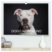 Cover-Bild zum Titel 'DOGO ARGENTINO (hochwertiger Premium Wandkalender 2026 DIN A2 quer), Kunstdruck in Hochglanz' von 'Schuberts-Fotografie Schuberts-Fotografie'