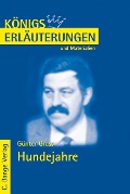 Cover-Bild zum Titel 'Hundejahre von Günter Grass. Textanalyse und Interpretation.' von 'Günter Grass'