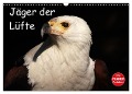 Jäger der Lüfte (Wandkalender 2024 DIN A3 quer), CALVENDO Monatskalender - Arno Klatt