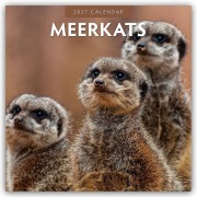 Cover-Bild zum Titel 'Meerkats - Erdmännchen 2027 - 16-Monatskalender' von 'Robin Red'