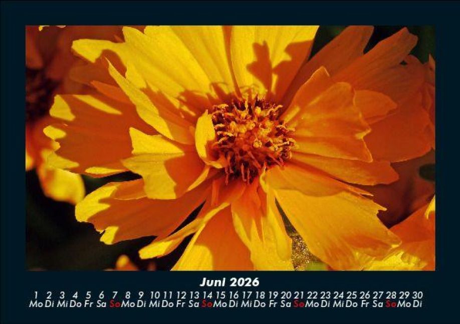 InsideView 10