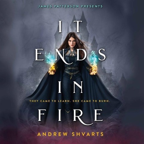 It Ends in Fire Lib/E - Andrew Shvarts