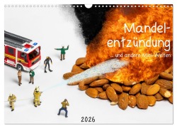 Cover-Bild zum Titel 'Mandelentzündung ... und andere Mini-Welten (Wandkalender 2026 DIN A3 quer), CALVENDO Monatskalender' von 'Michael Bogumil'