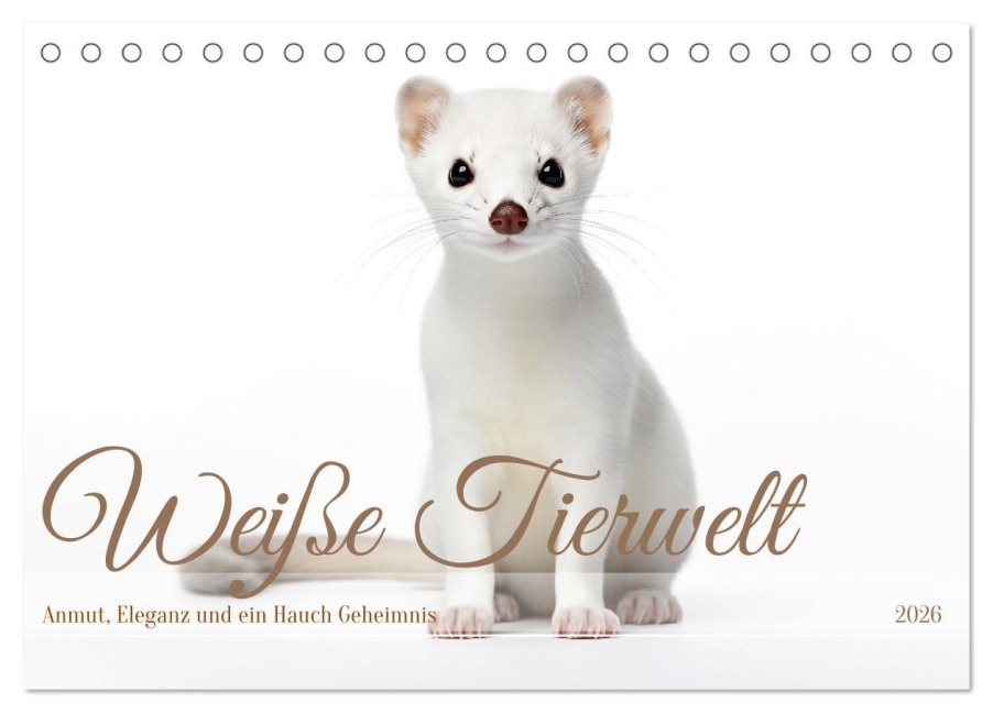 Weiße Tierwelt (Tischkalender 2026 DIN A5 quer), CALVENDO Monatskalender - Daniela Tapper