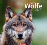 Cover-Bild zum Titel 'Wölfe Kalender 2027' von ''