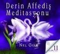 Cover-Bild zum Titel 'Derin Affedis Meditasyonu CD' von 'Nil Gün'