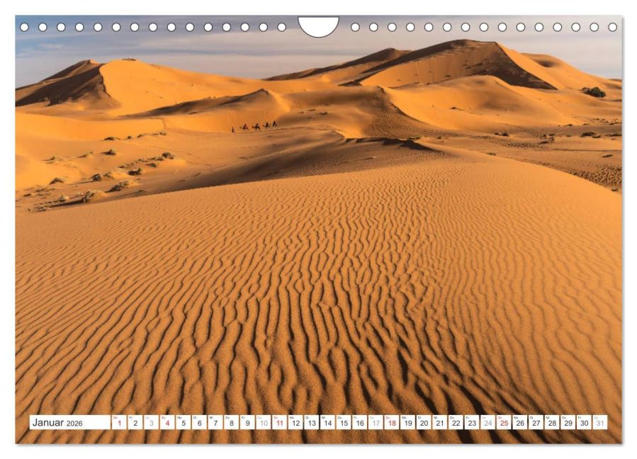 InsideView 6