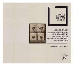 Little Things in odd Shapes - Istante Collective-Period Instrument Collective
