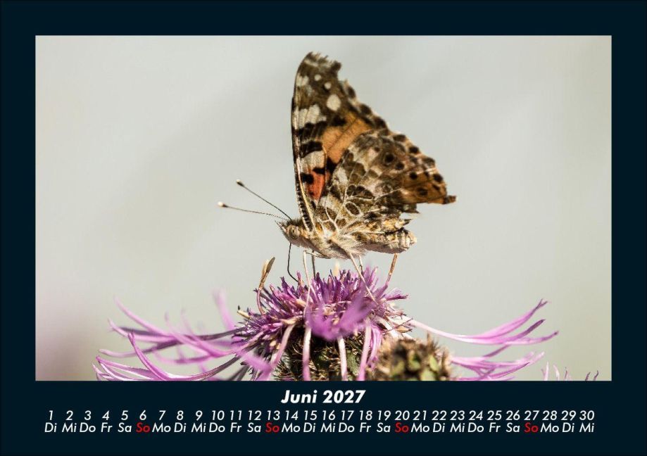 InsideView 10