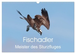 Cover-Bild zum Titel 'Fischadler - Meister des Sturzfluges (Wandkalender 2026 DIN A3 quer), CALVENDO Monatskalender' von 'Hermann Knüwer'